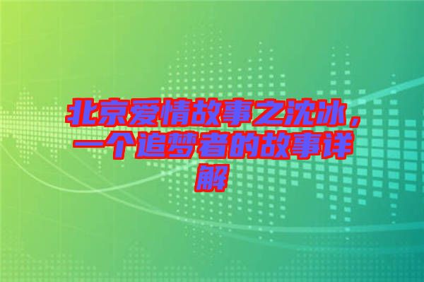 北京愛情故事之沈冰，一個追夢者的故事詳解