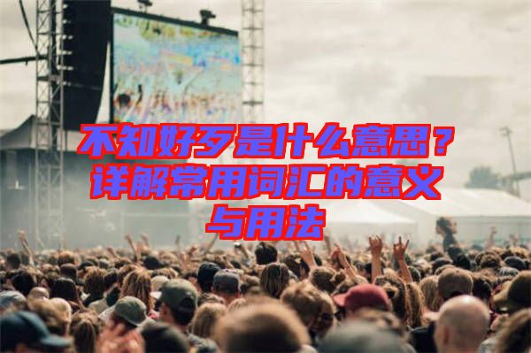 不知好歹是什么意思？詳解常用詞匯的意義與用法