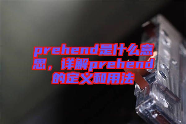 prehend是什么意思，詳解prehend的定義和用法