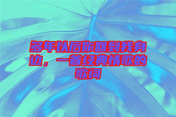 多年以后你回到我身邊，一首經典情歌的歌詞