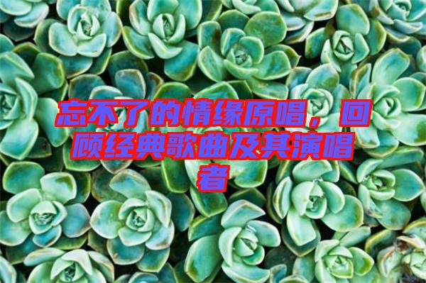 忘不了的情緣原唱，回顧經(jīng)典歌曲及其演唱者