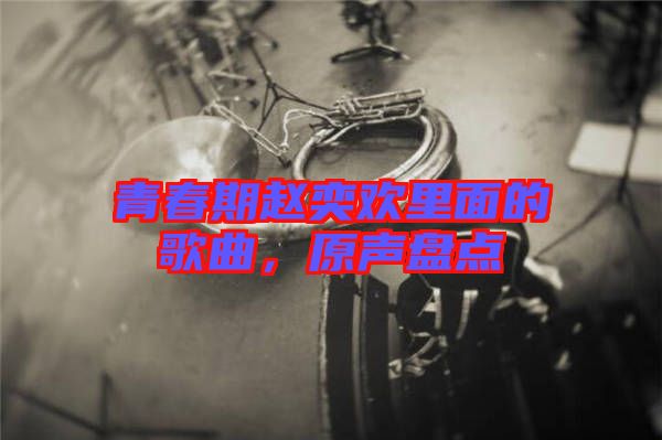 青春期趙奕歡里面的歌曲，原聲盤(pán)點(diǎn)