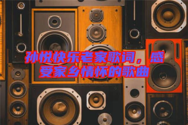 孫悅快樂老家歌詞，感受家鄉(xiāng)情懷的歌曲