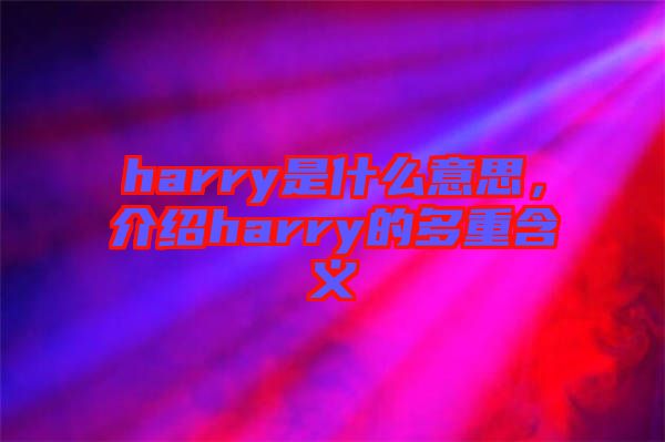 harry是什么意思，介紹harry的多重含義