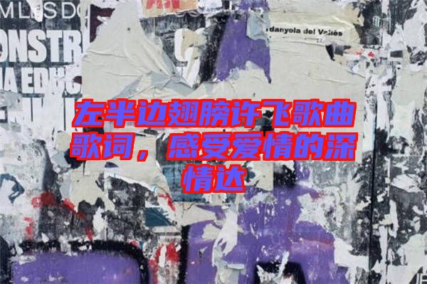 左半邊翅膀許飛歌曲歌詞，感受愛情的深情達(dá)