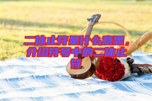 二休止符是什么意思，介紹符號(hào)中的二休止符