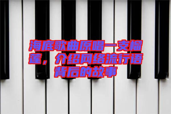 海底歌曲原唱一支榴蓮，介紹網(wǎng)絡(luò)流行語背后的故事