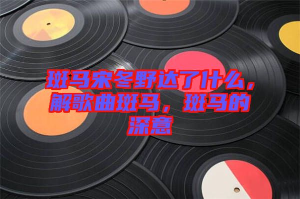 斑馬宋冬野達(dá)了什么，解歌曲斑馬，斑馬的深意