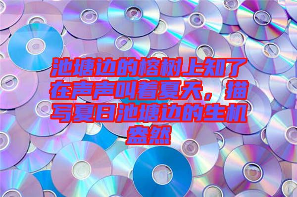 池塘邊的榕樹上知了在聲聲叫著夏天，描寫夏日池塘邊的生機(jī)盎然