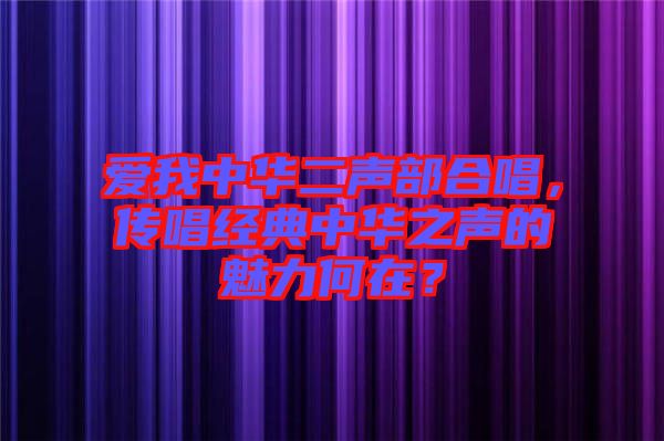 愛我中華二聲部合唱，傳唱經(jīng)典中華之聲的魅力何在？