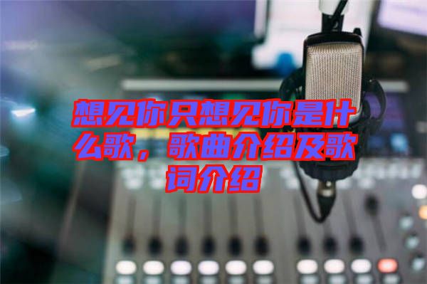 想見你只想見你是什么歌，歌曲介紹及歌詞介紹