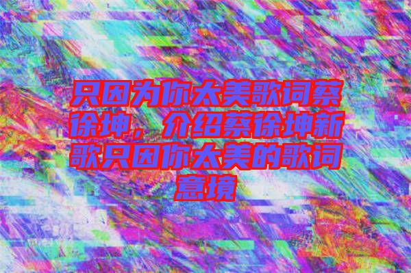 只因?yàn)槟闾栏柙~蔡徐坤，介紹蔡徐坤新歌只因你太美的歌詞意境