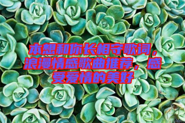 本想和你長相守歌詞，浪漫情感歌曲推薦，感受愛情的美好