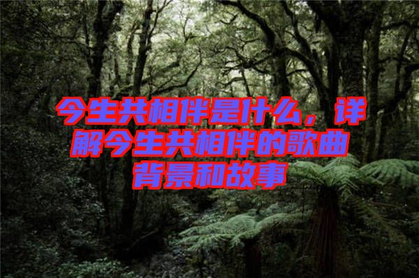 今生共相伴是什么，詳解今生共相伴的歌曲背景和故事