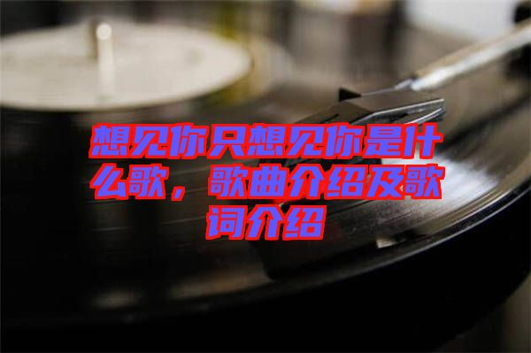 想見你只想見你是什么歌，歌曲介紹及歌詞介紹