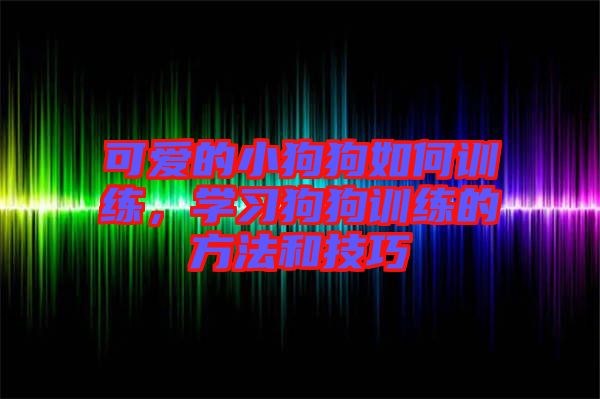 可愛的小狗狗如何訓練，學習狗狗訓練的方法和技巧