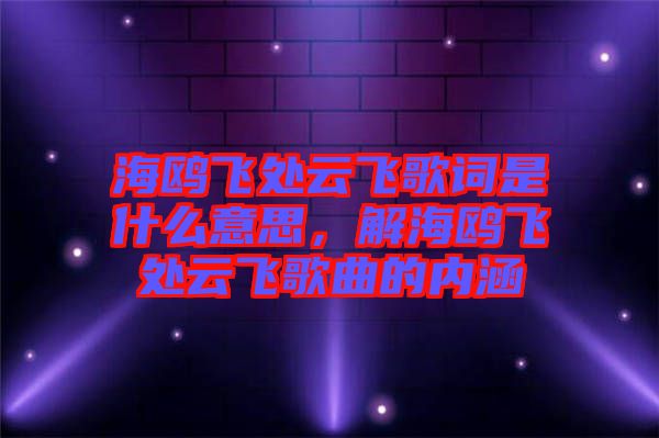 海鷗飛處云飛歌詞是什么意思，解海鷗飛處云飛歌曲的內(nèi)涵