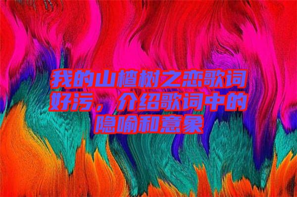 我的山楂樹(shù)之戀歌詞好污，介紹歌詞中的隱喻和意象