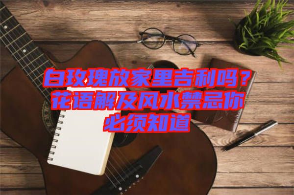 白玫瑰放家里吉利嗎？花語解及風(fēng)水禁忌你必須知道