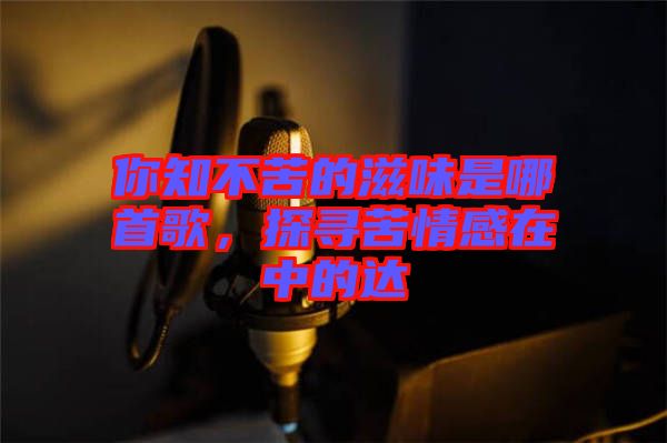 你知不苦的滋味是哪首歌，探尋苦情感在中的達