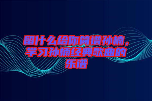 留什么給你簡譜孫楠，學習孫楠經(jīng)典歌曲的樂譜