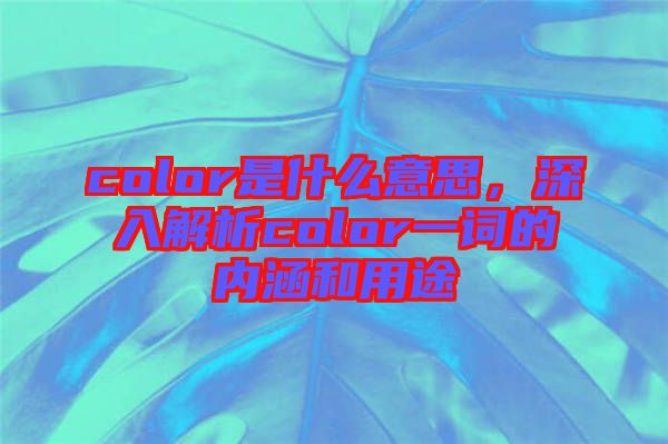 color是什么意思，深入解析color一詞的內(nèi)涵和用途