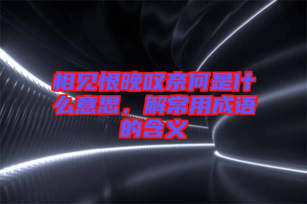 相見恨晚嘆奈何是什么意思，解常用成語的含義