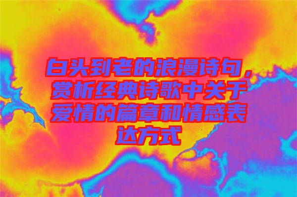 白頭到老的浪漫詩(shī)句，賞析經(jīng)典詩(shī)歌中關(guān)于愛(ài)情的篇章和情感表達(dá)方式