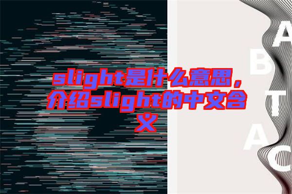 slight是什么意思，介紹slight的中文含義