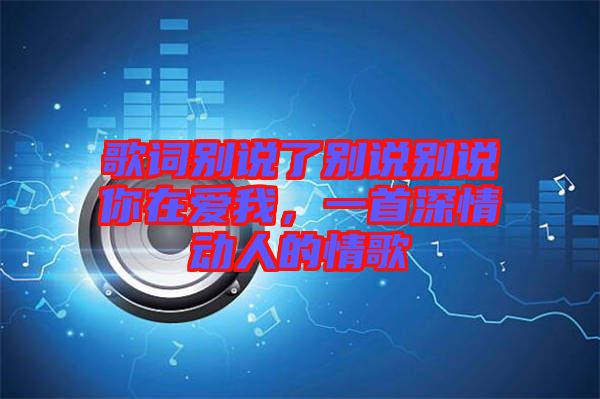 歌詞別說了別說別說你在愛我，一首深情動人的情歌