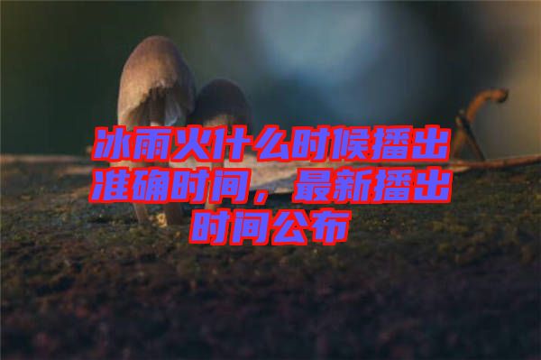 冰雨火什么時候播出準(zhǔn)確時間，最新播出時間公布