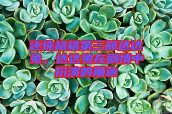 還珠格格第三部達(dá)達(dá)兔，達(dá)達(dá)兔在劇情中扮演的角色