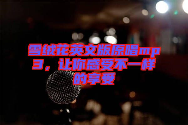 雪絨花英文版原唱mp3，讓你感受不一樣的享受