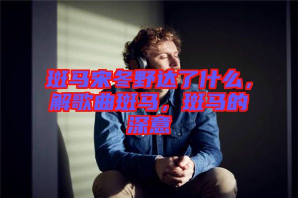 斑馬宋冬野達(dá)了什么，解歌曲斑馬，斑馬的深意