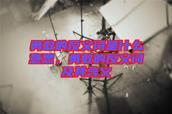 勇敢的反義詞是什么意思，勇敢的反義詞及其含義