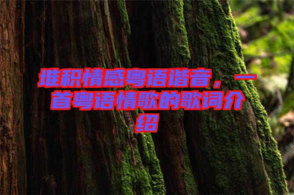 堆積情感粵語諧音，一首粵語情歌的歌詞介紹