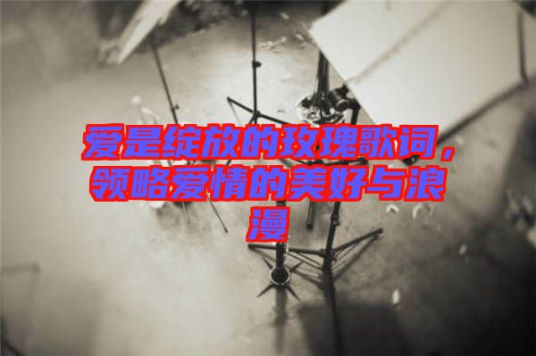 愛(ài)是綻放的玫瑰歌詞，領(lǐng)略愛(ài)情的美好與浪漫