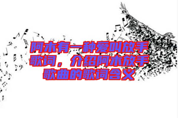 阿木有一種愛(ài)叫放手歌詞，介紹阿木放手歌曲的歌詞含義