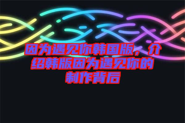 因?yàn)橛鲆娔沩n國版，介紹韓版因?yàn)橛鲆娔愕闹谱鞅澈? width=