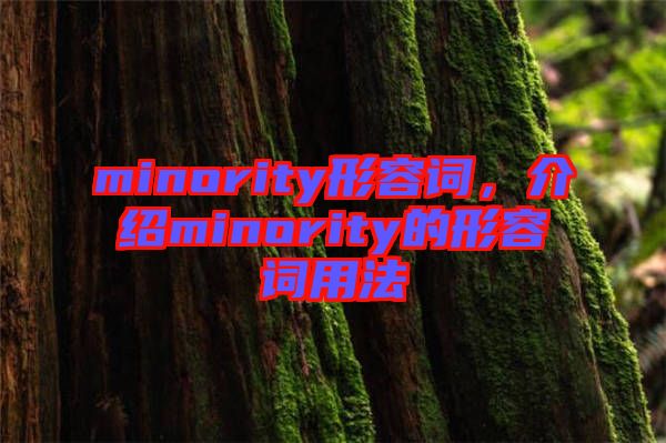 minority形容詞，介紹minority的形容詞用法