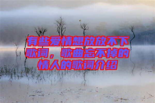 有些愛情想放放不下歌詞，歌曲忘不掉的情人的歌詞介紹