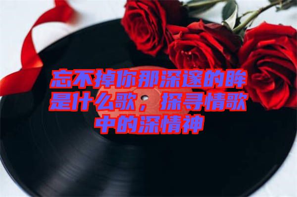 忘不掉你那深邃的眸是什么歌，探尋情歌中的深情神