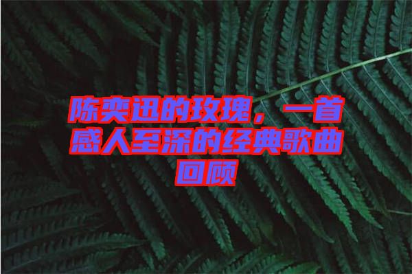 陳奕迅的玫瑰，一首感人至深的經(jīng)典歌曲回顧