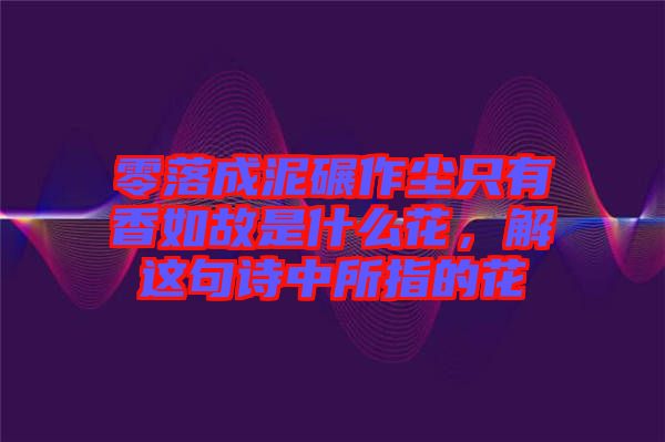 零落成泥碾作塵只有香如故是什么花，解這句詩中所指的花