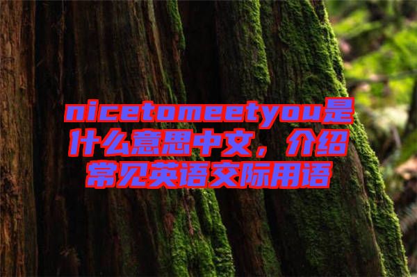 nicetomeetyou是什么意思中文，介紹常見(jiàn)英語(yǔ)交際用語(yǔ)