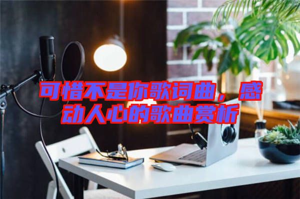 可惜不是你歌詞曲，感動人心的歌曲賞析