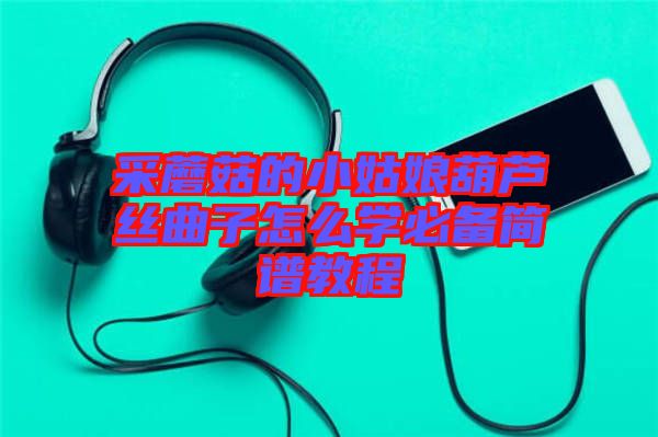 采蘑菇的小姑娘葫蘆絲曲子怎么學(xué)必備簡(jiǎn)譜教程