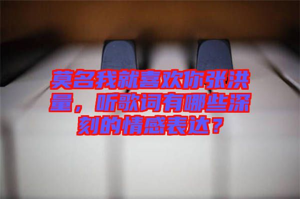 莫名我就喜歡你張洪量，聽歌詞有哪些深刻的情感表達(dá)？