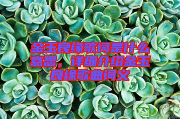 金玉良緣歌詞是什么意思，詳細(xì)介紹金玉良緣歌曲詞義