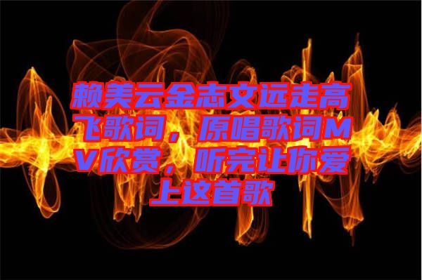 賴美云金志文遠(yuǎn)走高飛歌詞，原唱歌詞MV欣賞，聽完讓你愛上這首歌